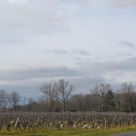 Néac Maison Bertineau Proche Saint-Emilion מראה חיצוני תמונה