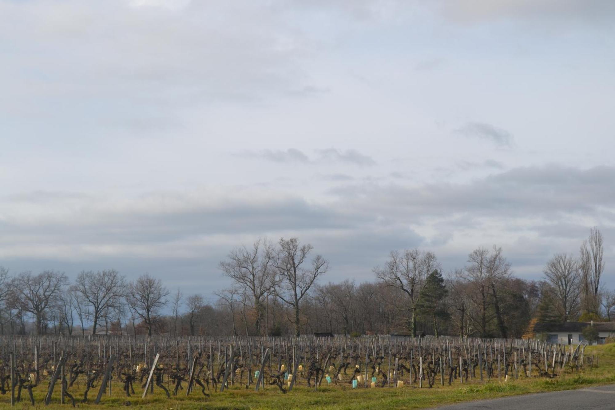 Néac Maison Bertineau Proche Saint-Emilion מראה חיצוני תמונה